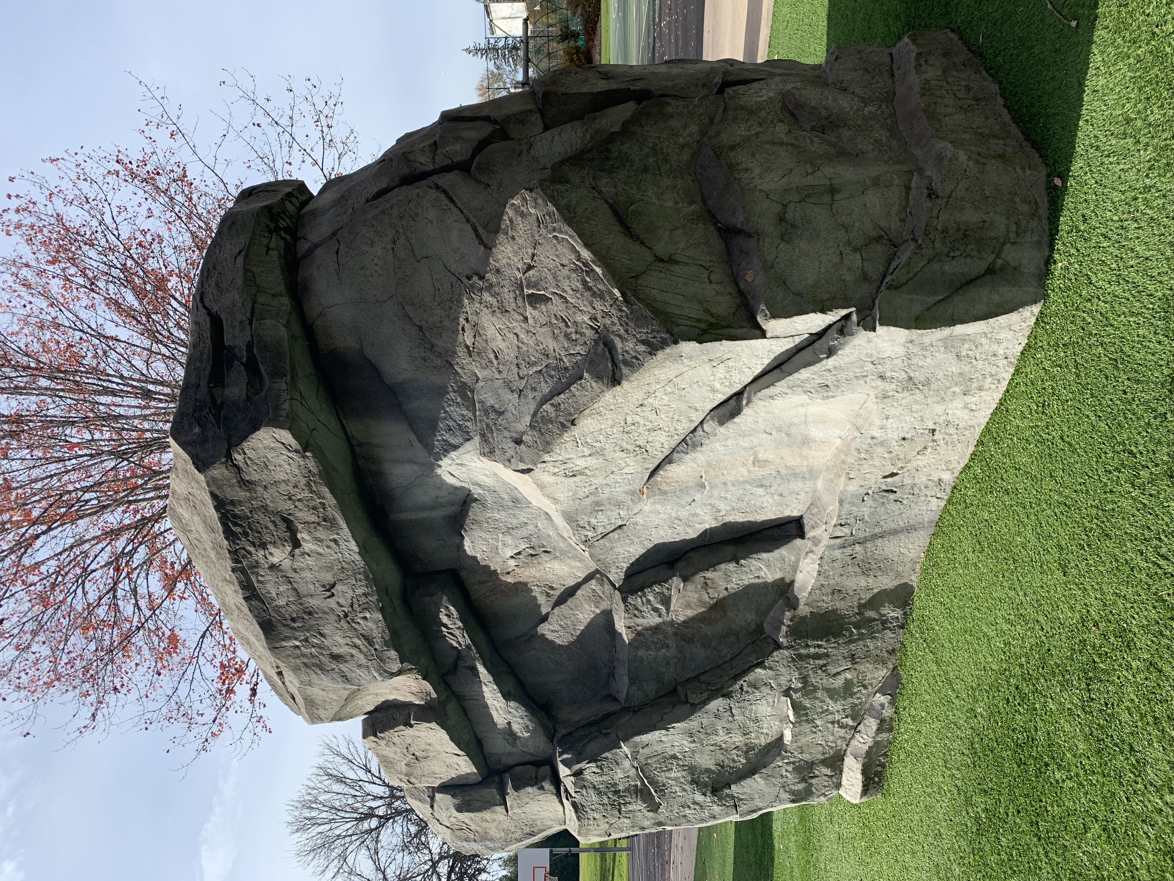 a large fake rock, astroturf
            ground, blue sky, a few red leaves on a tree behind
